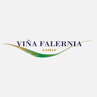 Vina Falernia