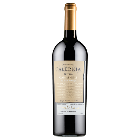 LCBO - Falernia Carmenere Reserva Pedriscal 2020