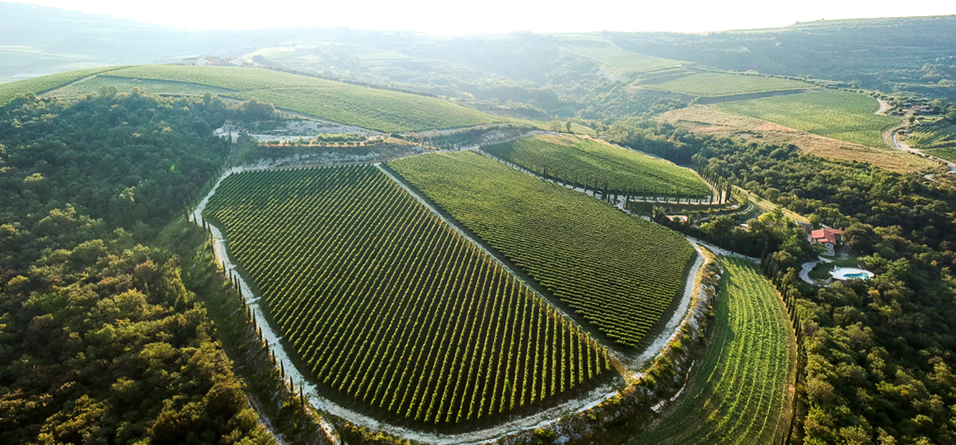 Wine Convention